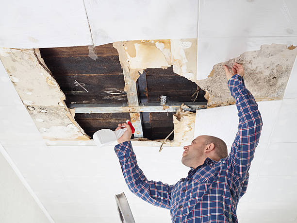  Harker Heights, TX Mold Removal Pros